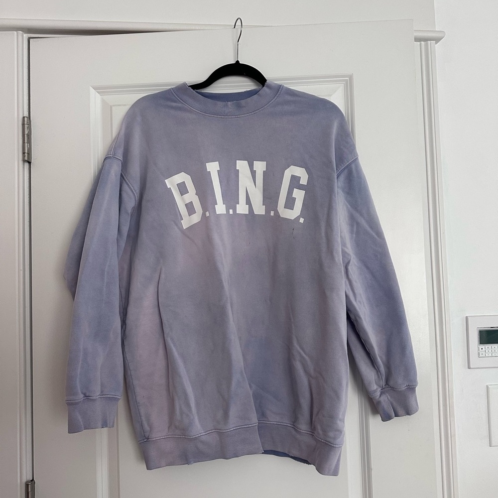 Anine bing sweatshirt